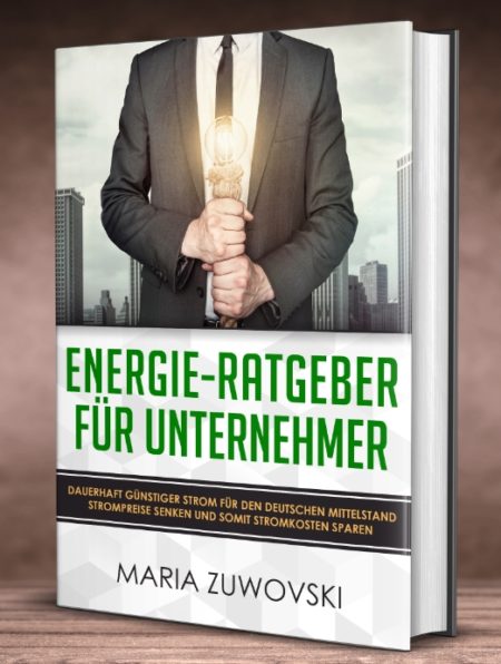 Cover Energie-Ratgeber für Unternehmer